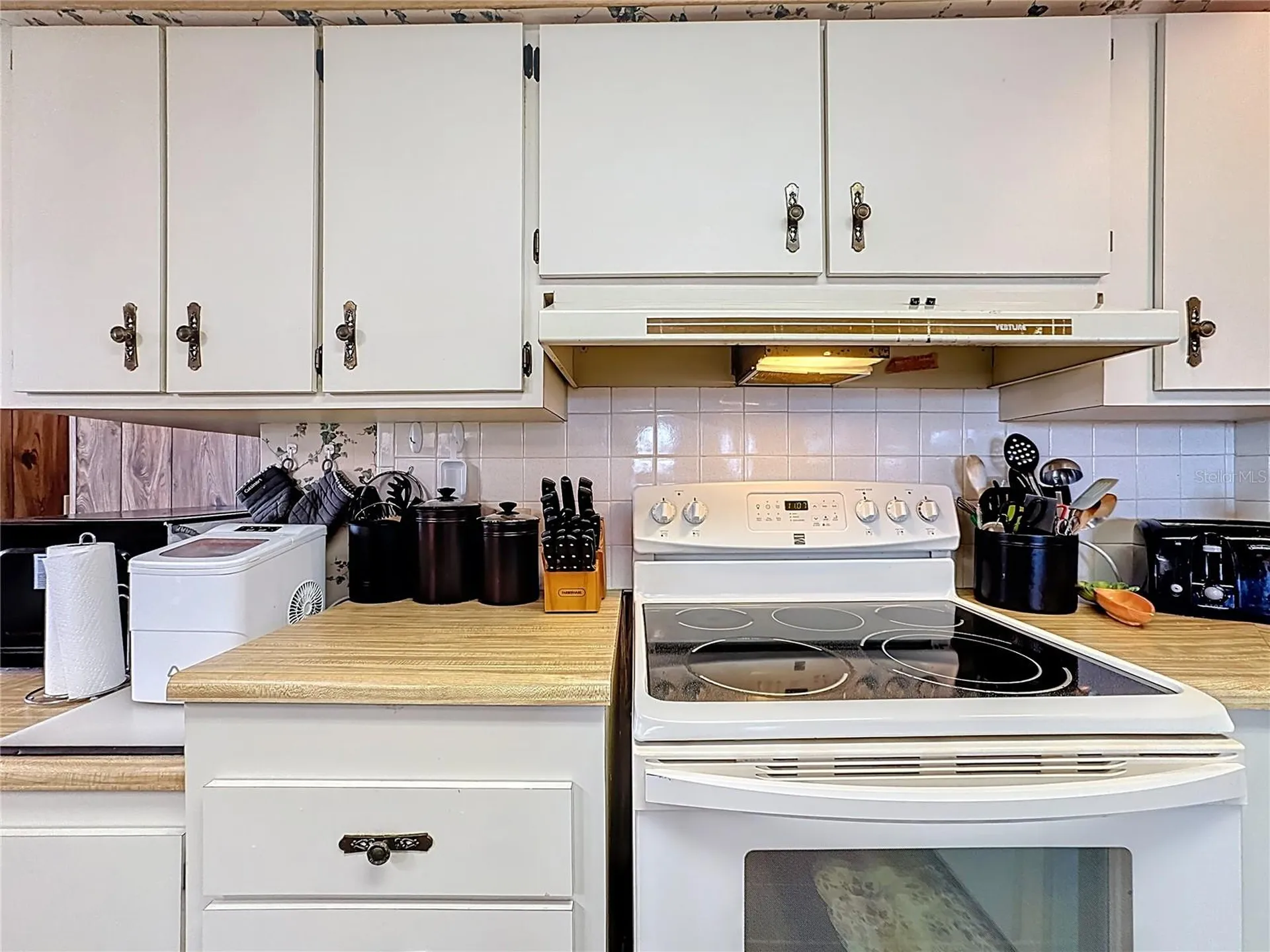 1311 Mohawk Circle Tavares FL 32778