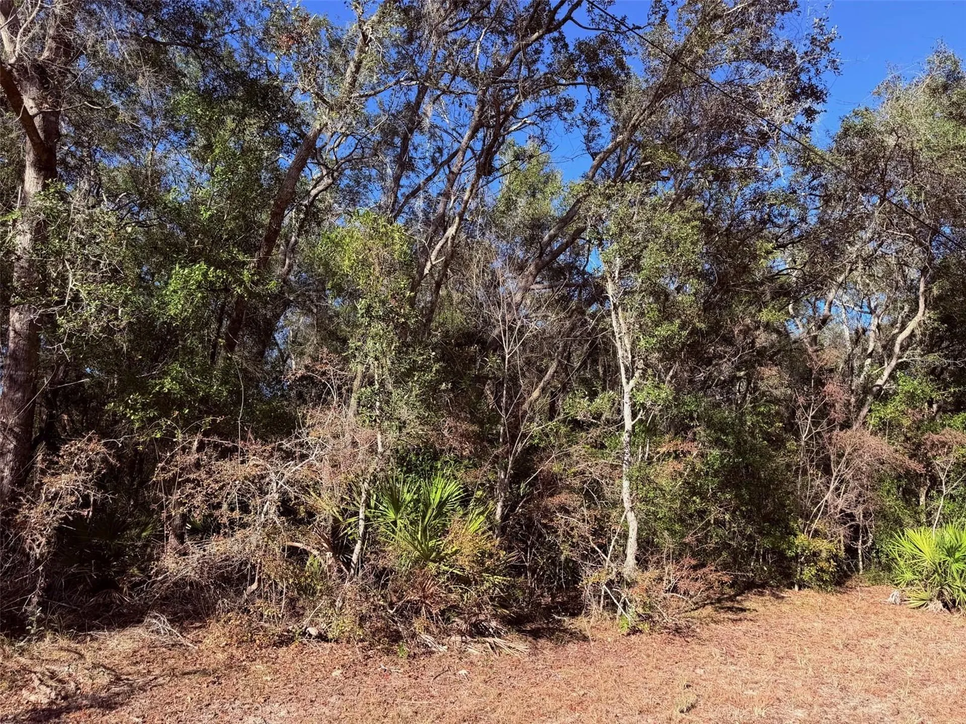 127 SE 930 Street Old Town FL 32680