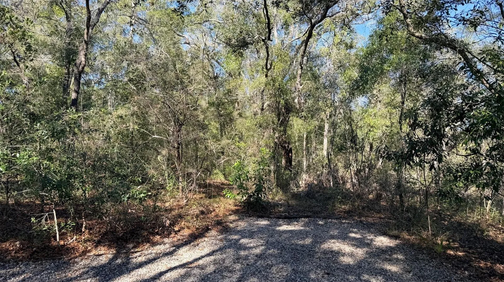 127 SE 930 Street Old Town FL 32680