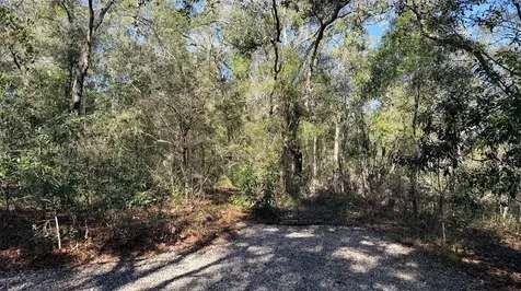 127 SE 930 Street Old Town FL 32680