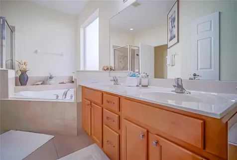 1009 Orange Cosmos Boulevard Davenport FL 33837