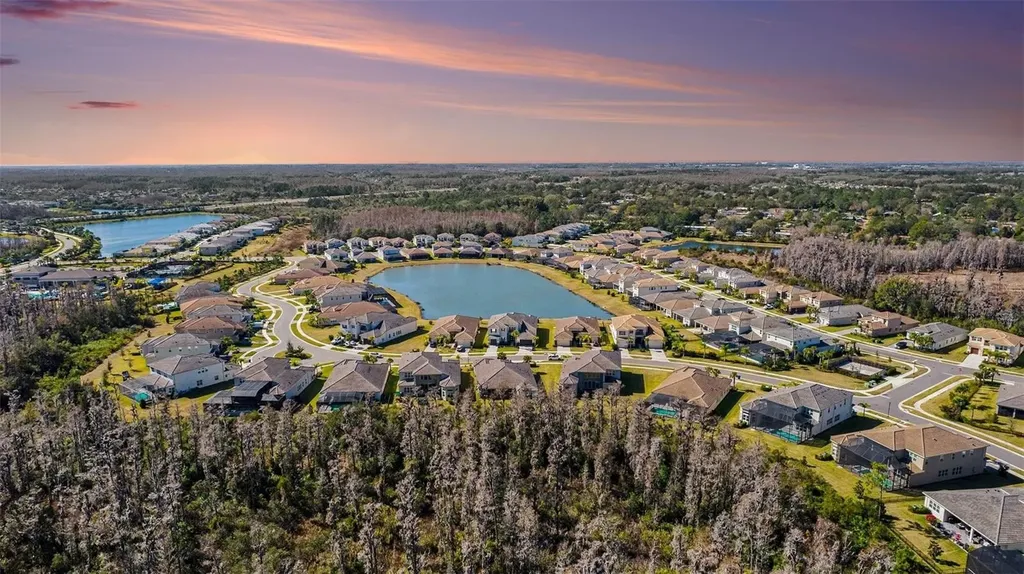 3263 Juniper Springs Street Wesley Chapel FL 33543