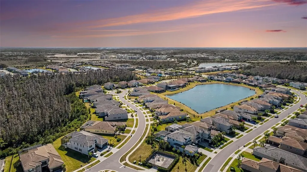 3263 Juniper Springs Street Wesley Chapel FL 33543