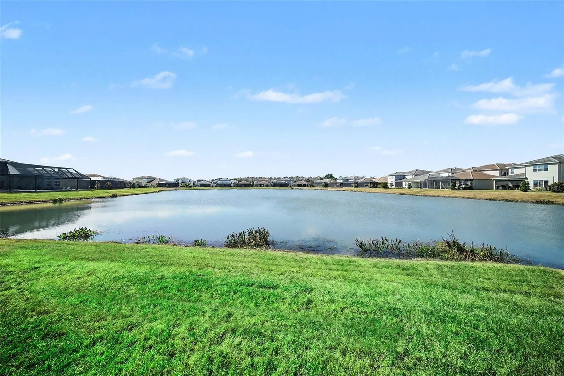 3263 Juniper Springs Street Wesley Chapel FL 33543