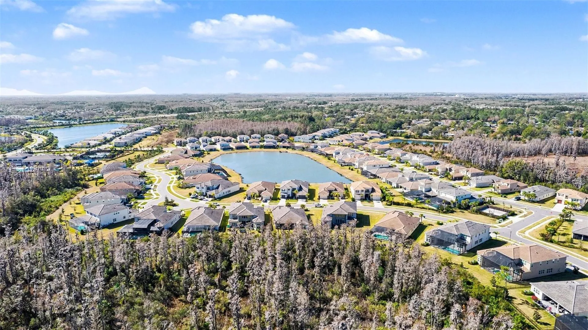 3263 Juniper Springs Street Wesley Chapel FL 33543