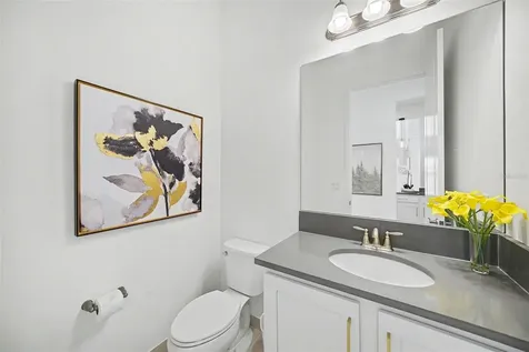 3263 Juniper Springs Street Wesley Chapel FL 33543