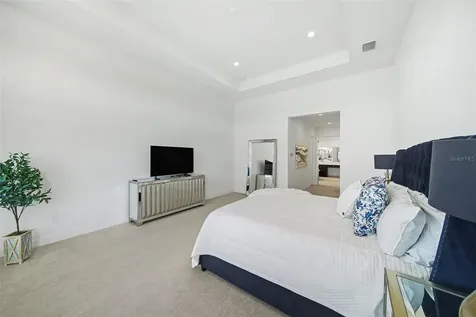 3263 Juniper Springs Street Wesley Chapel FL 33543
