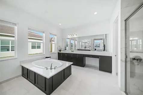 3263 Juniper Springs Street Wesley Chapel FL 33543