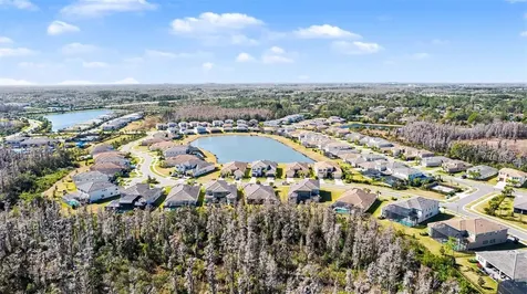 3263 Juniper Springs Street Wesley Chapel FL 33543