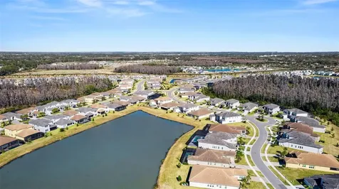 3263 Juniper Springs Street Wesley Chapel FL 33543