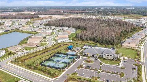 3263 Juniper Springs Street Wesley Chapel FL 33543