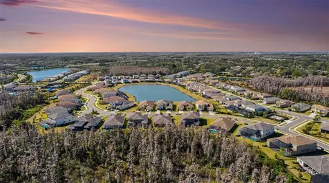 3263 Juniper Springs Street Wesley Chapel FL 33543