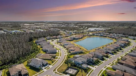 3263 Juniper Springs Street Wesley Chapel FL 33543