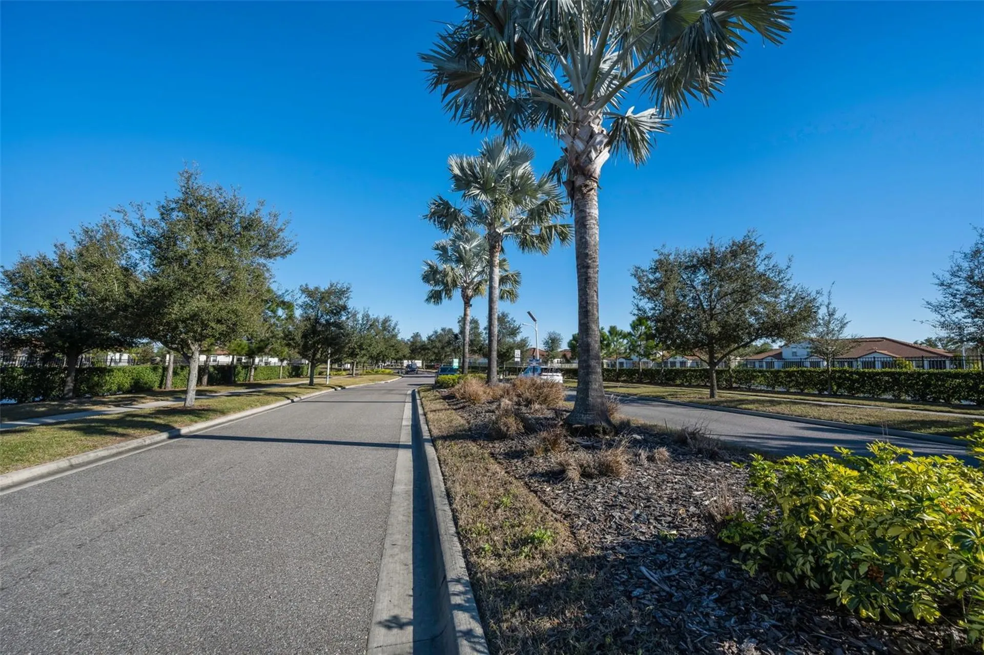 5314 Stoic Vale Drive Wimauma FL 33598