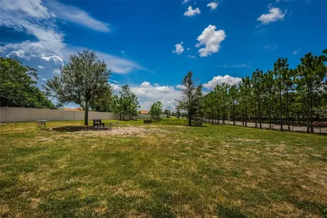 5314 Stoic Vale Drive Wimauma FL 33598