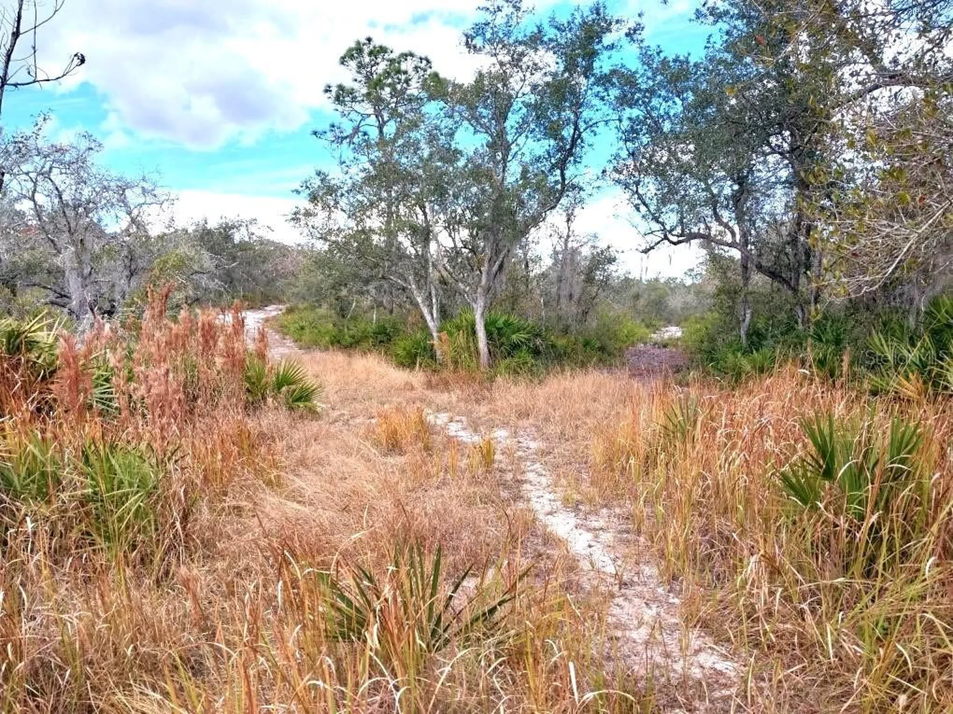 701 Gopher Trail Frostproof FL 33843