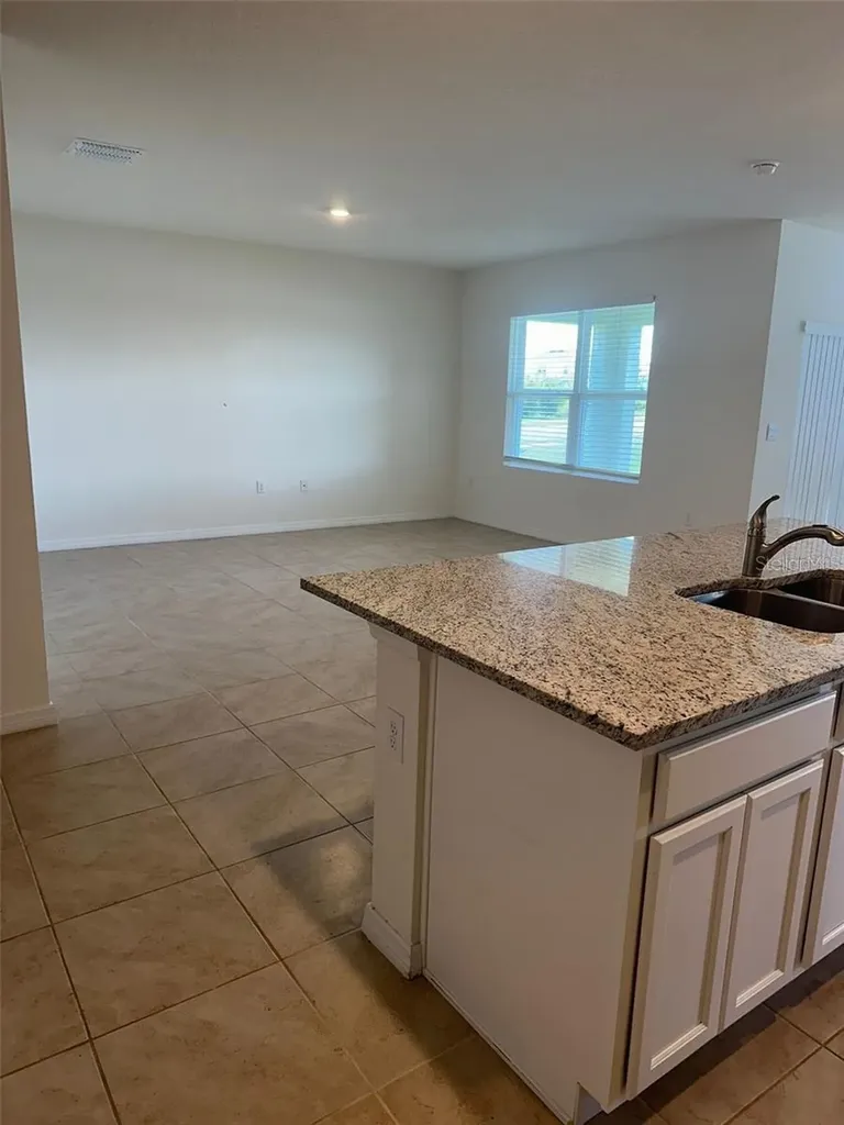 1071 Brooklet Drive Davenport FL 33837