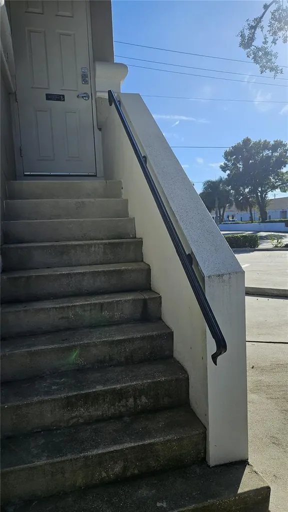 3001 W Azeele Street Tampa FL 33609