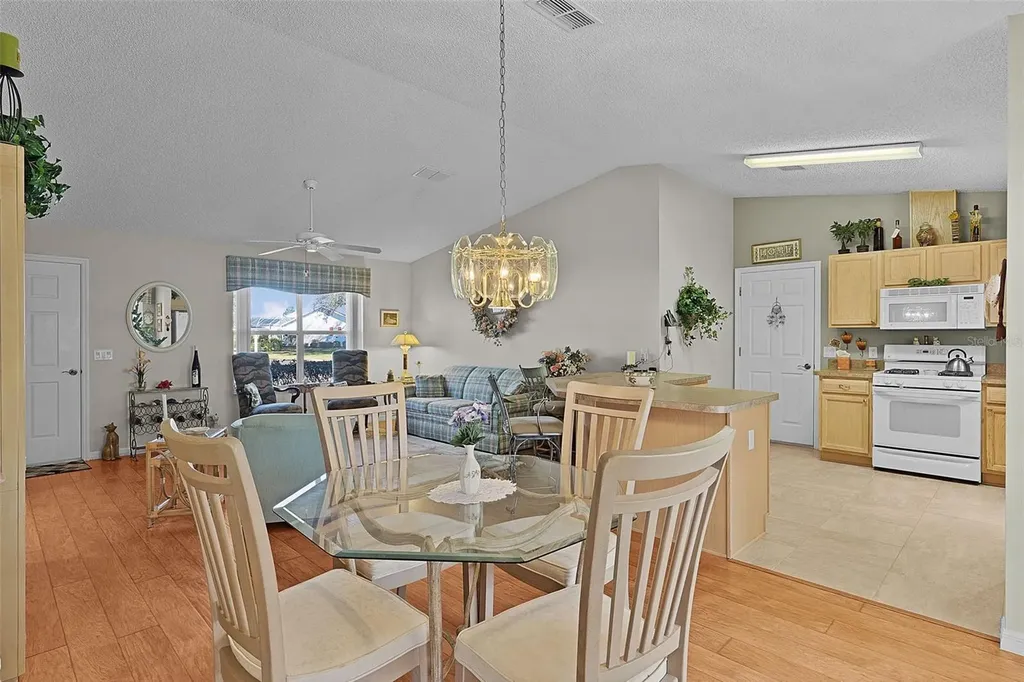 1319 Carvello Drive The Villages FL 32162