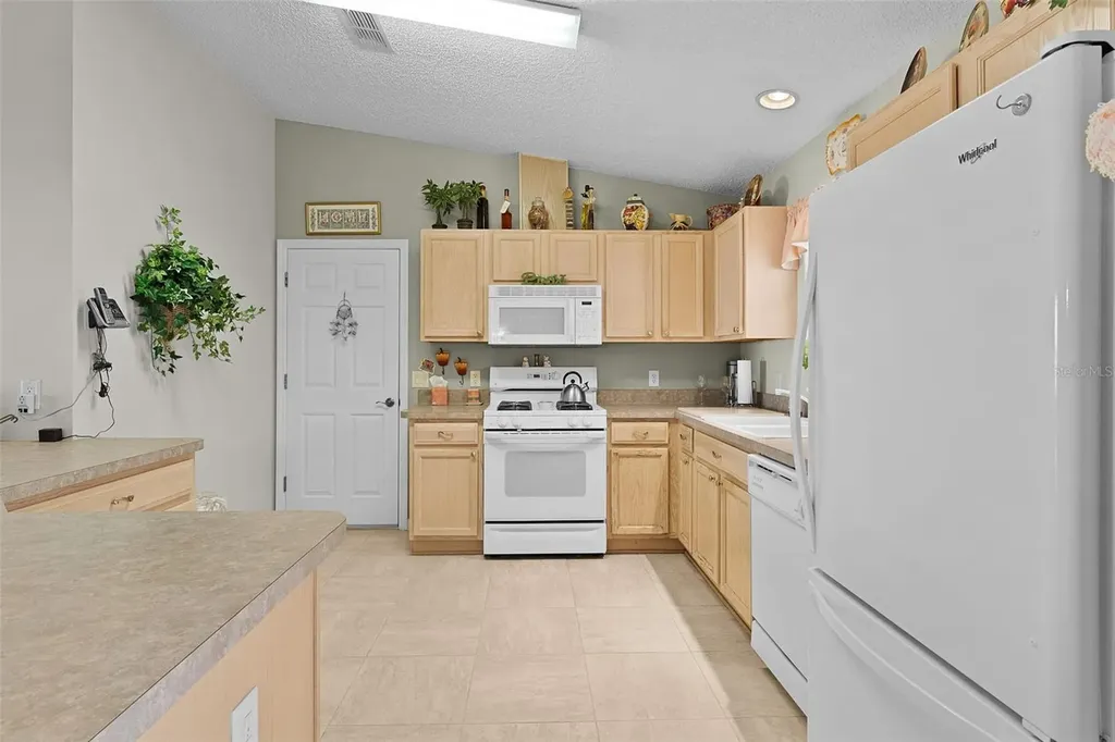 1319 Carvello Drive The Villages FL 32162
