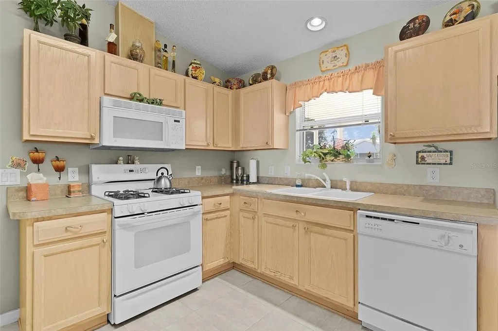 1319 Carvello Drive The Villages FL 32162