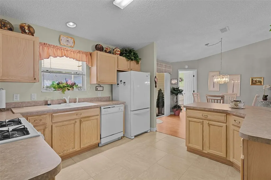 1319 Carvello Drive The Villages FL 32162