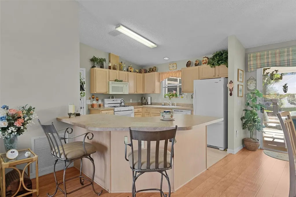 1319 Carvello Drive The Villages FL 32162