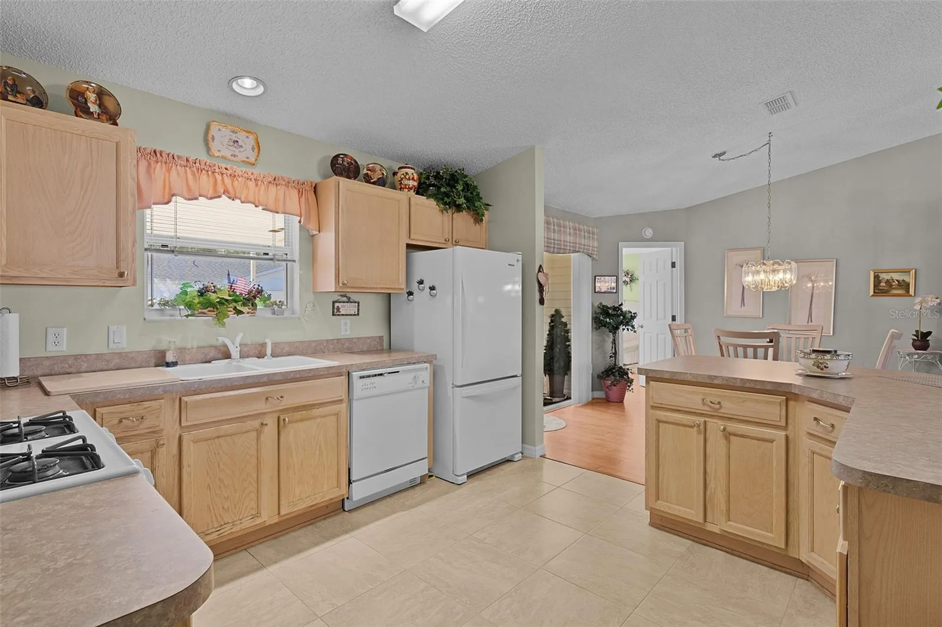 1319 Carvello Drive The Villages FL 32162