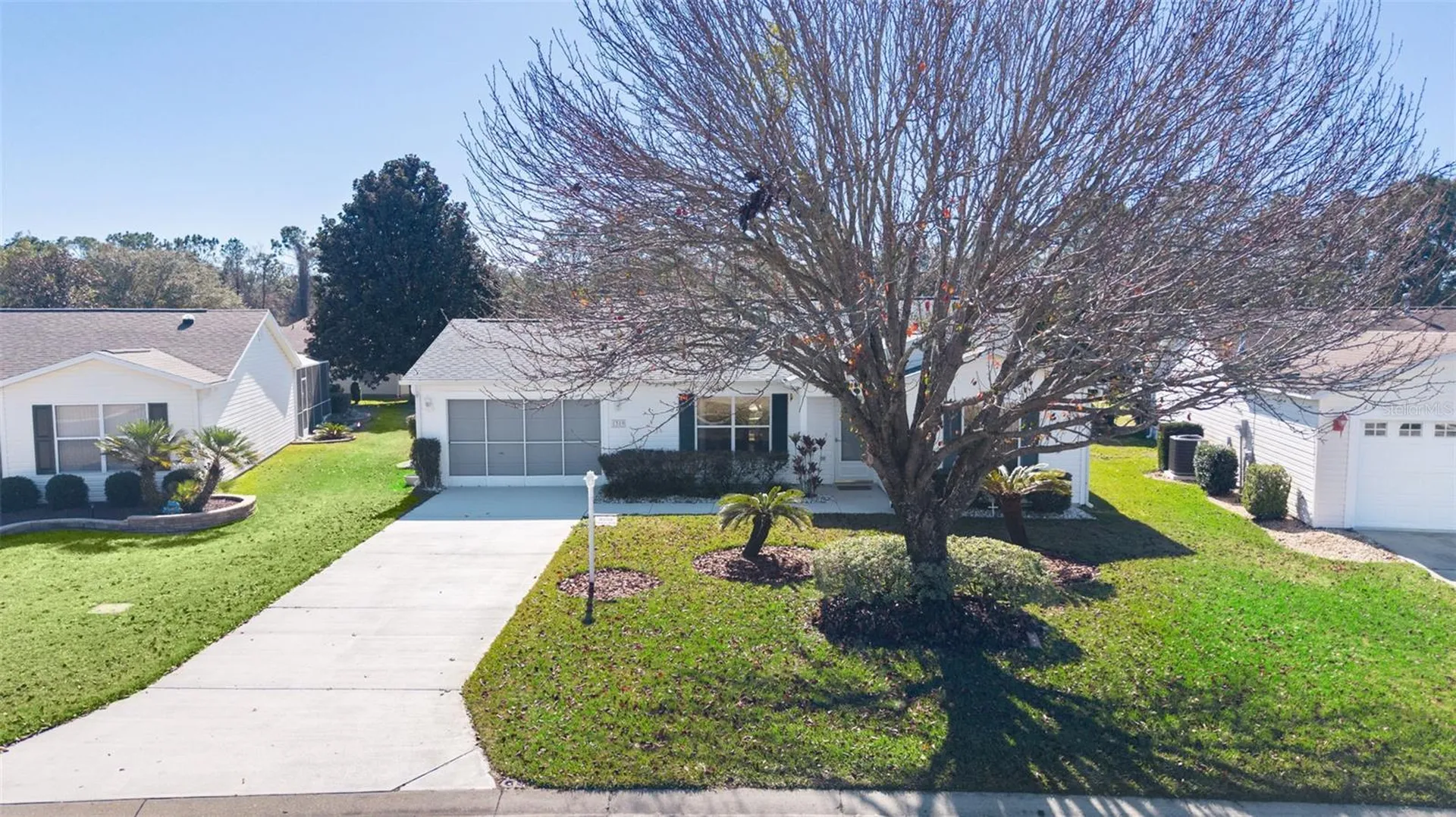 1319 Carvello Drive The Villages FL 32162