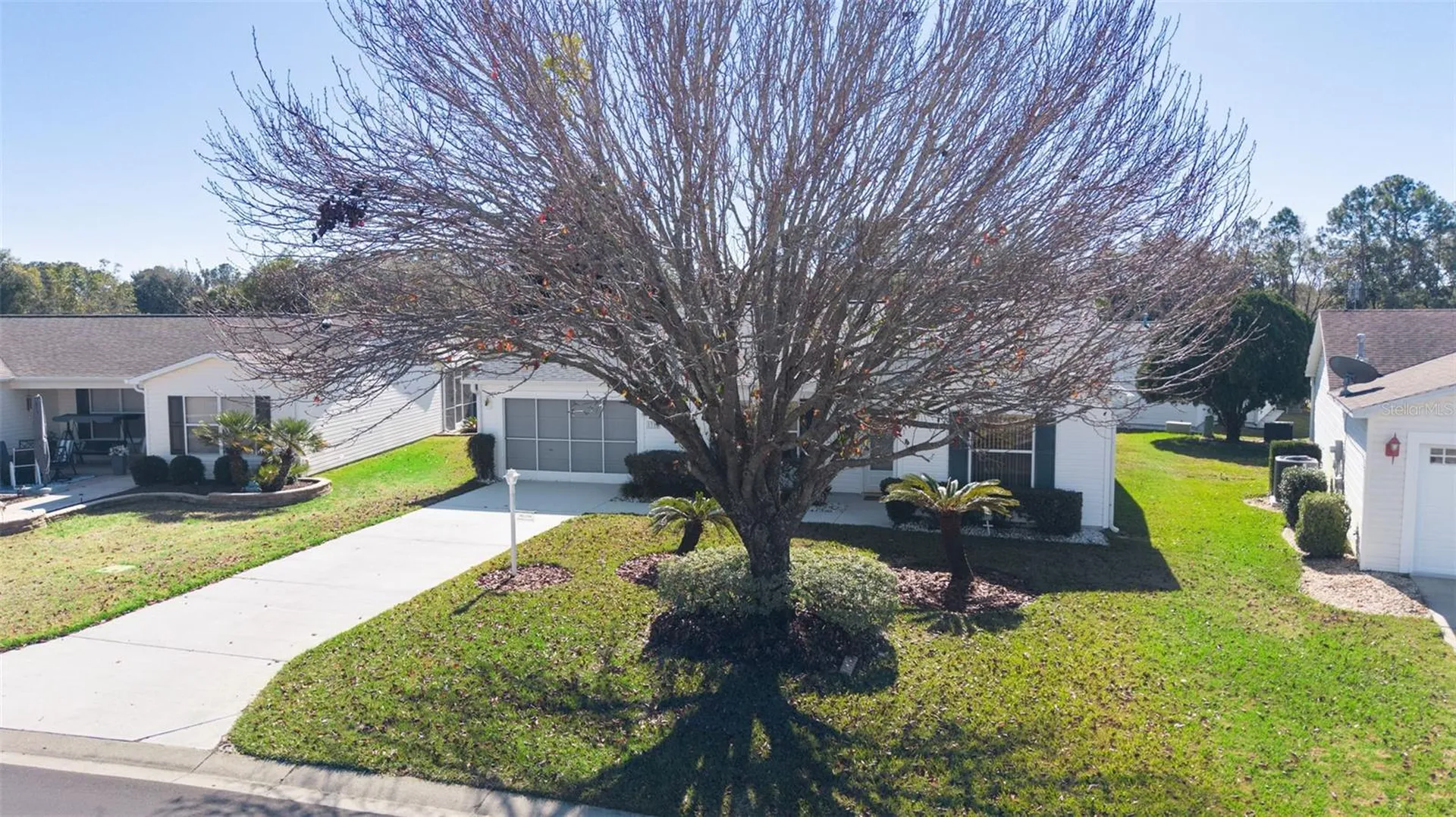 1319 Carvello Drive The Villages FL 32162