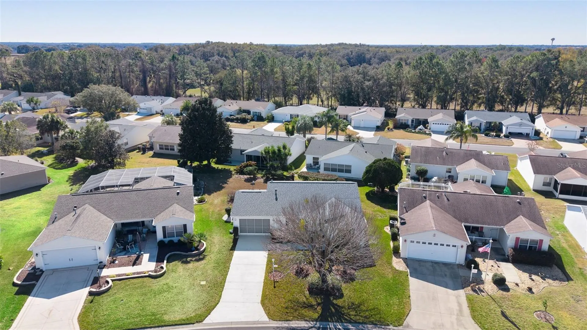 1319 Carvello Drive The Villages FL 32162