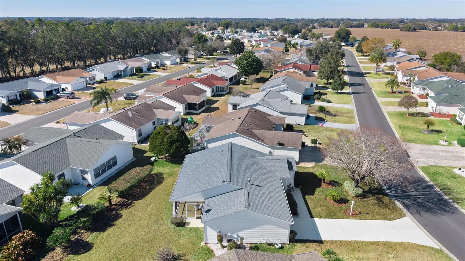 1319 Carvello Drive The Villages FL 32162