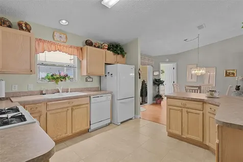 1319 Carvello Drive The Villages FL 32162