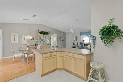 1319 Carvello Drive The Villages FL 32162