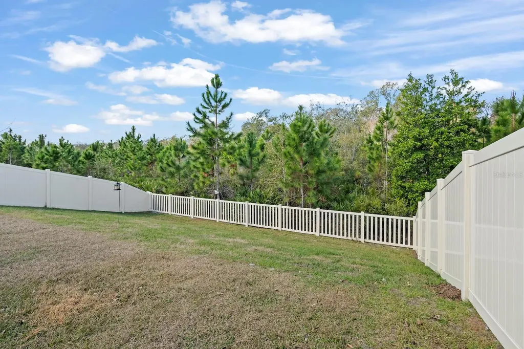 10843 Ibis Brook Court Land O Lakes FL 34638
