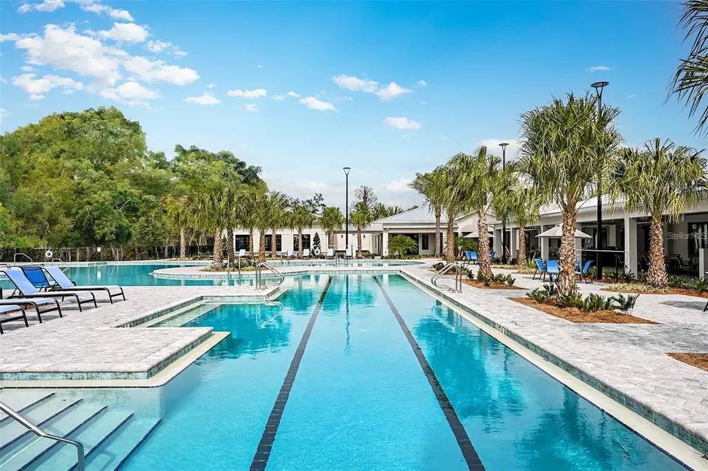 10843 Ibis Brook Court Land O Lakes FL 34638