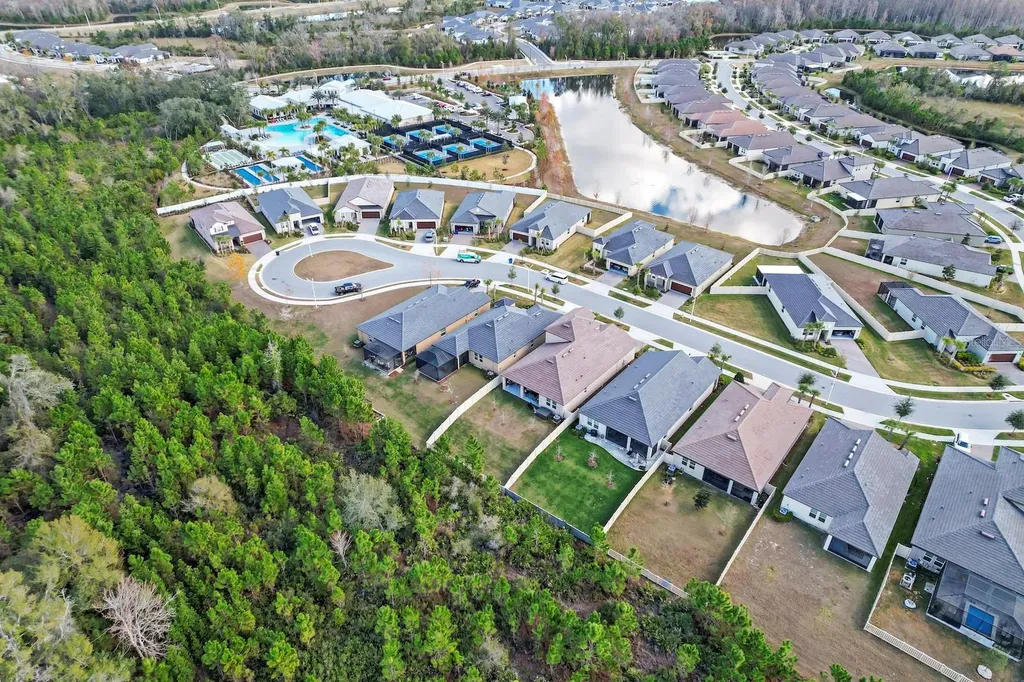 10843 Ibis Brook Court Land O Lakes FL 34638