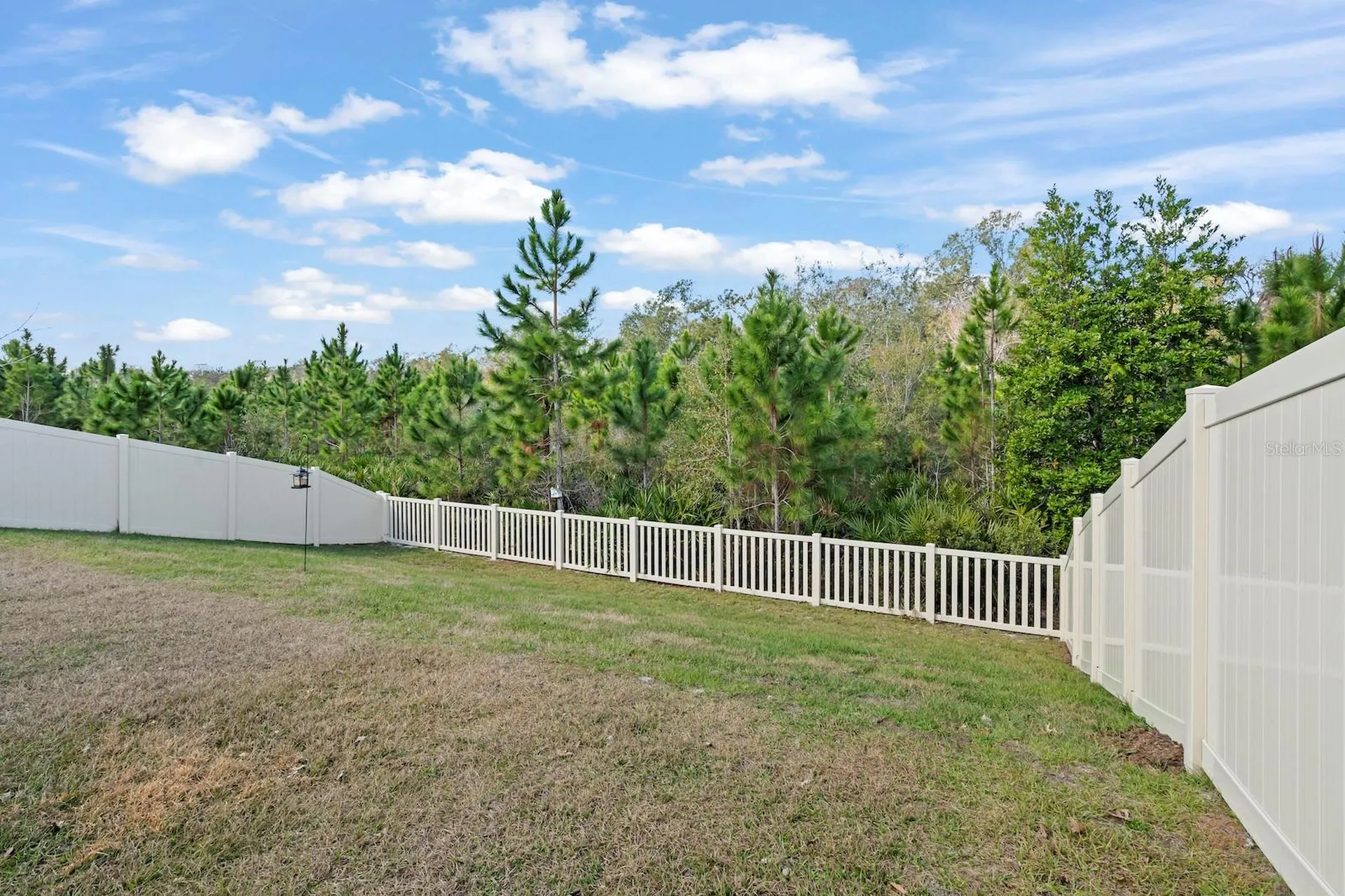 10843 Ibis Brook Court Land O Lakes FL 34638