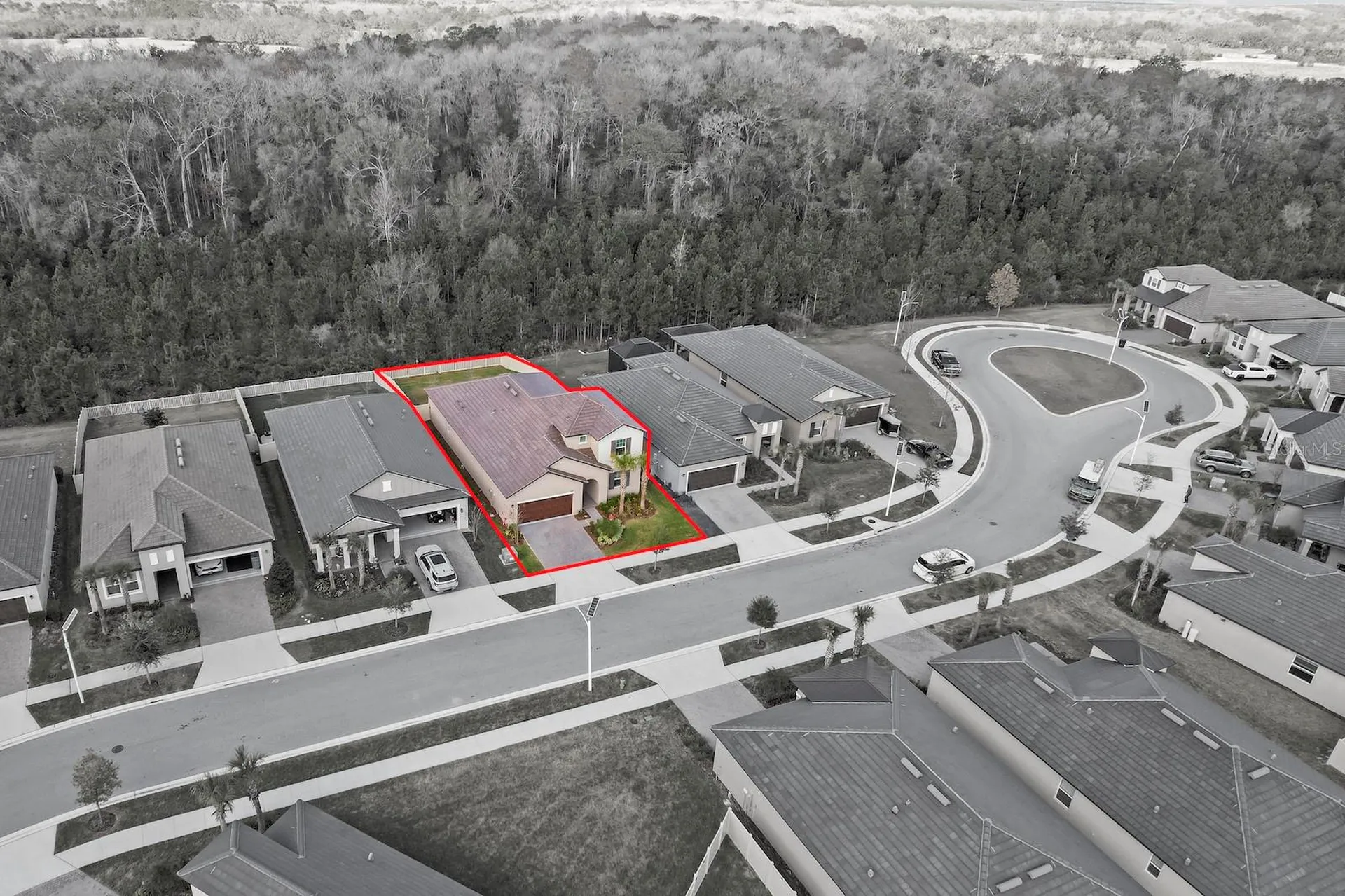 10843 Ibis Brook Court Land O Lakes FL 34638