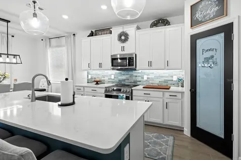 10843 Ibis Brook Court Land O Lakes FL 34638