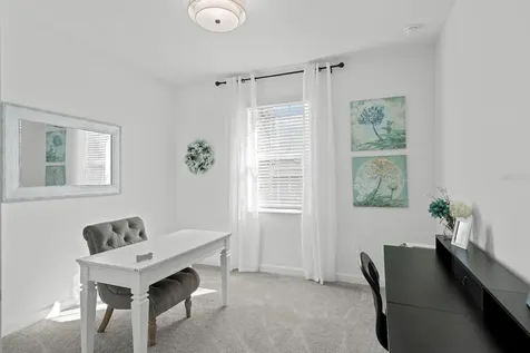 10843 Ibis Brook Court Land O Lakes FL 34638