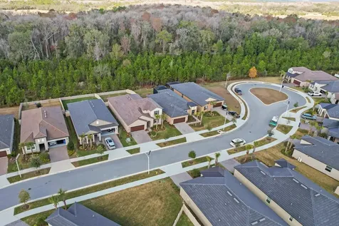 10843 Ibis Brook Court Land O Lakes FL 34638