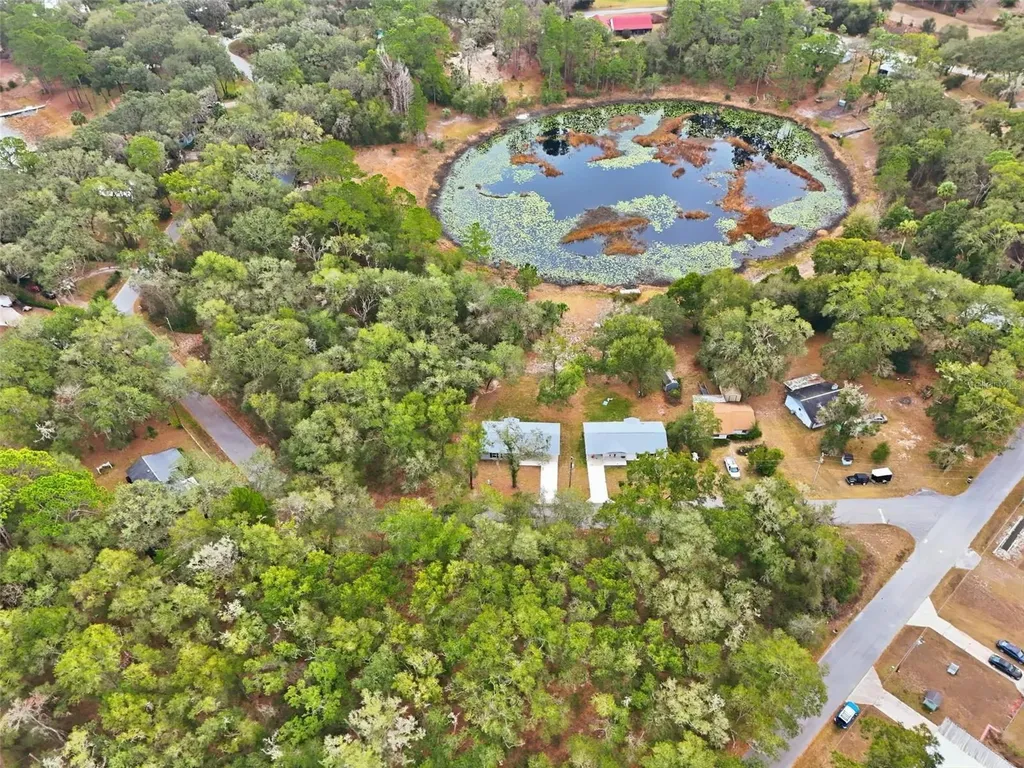 16450 SE 57th Place Ocklawaha FL 32179