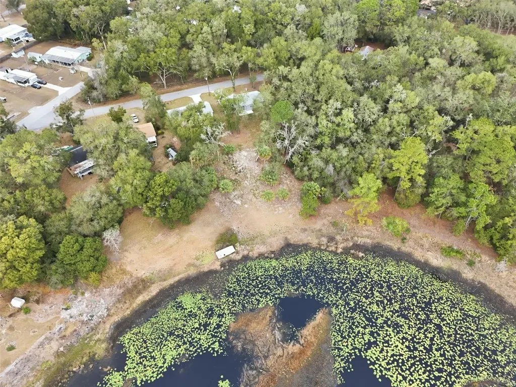 16450 SE 57th Place Ocklawaha FL 32179