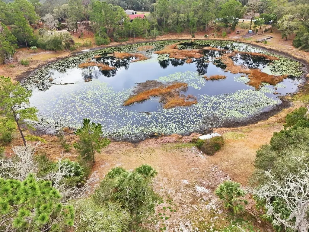 16450 SE 57th Place Ocklawaha FL 32179