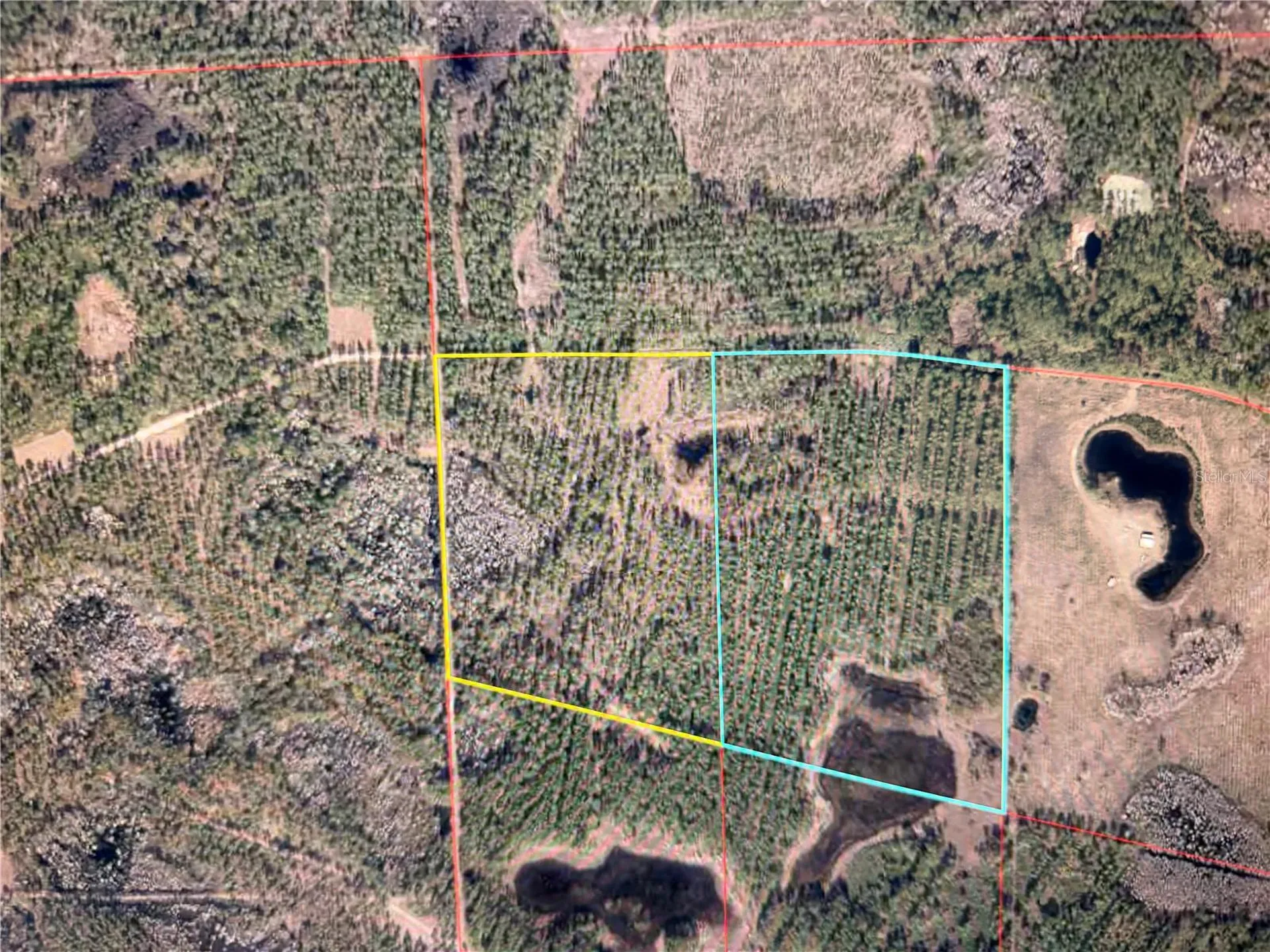 Clyatt Road Chiefland FL 32626