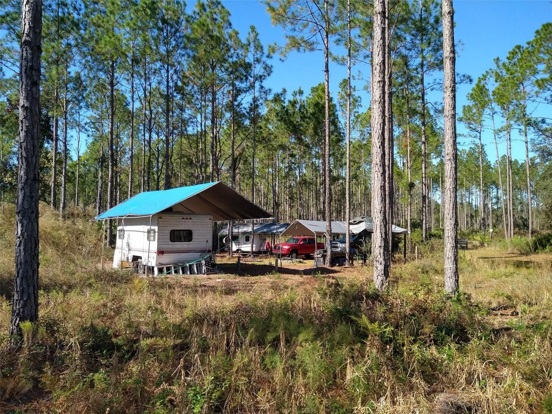 Clyatt Road Chiefland FL 32626