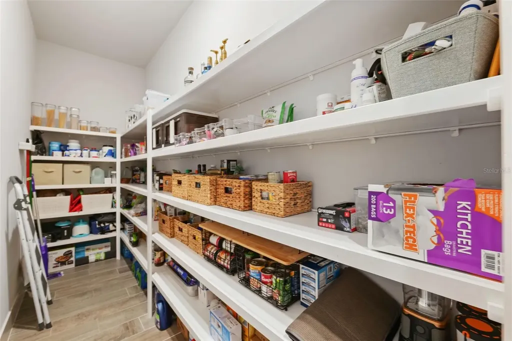 8684 Sanders Tree Loop Wesley Chapel FL 33545