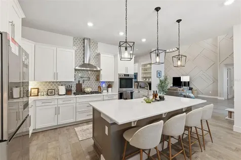 8684 Sanders Tree Loop Wesley Chapel FL 33545