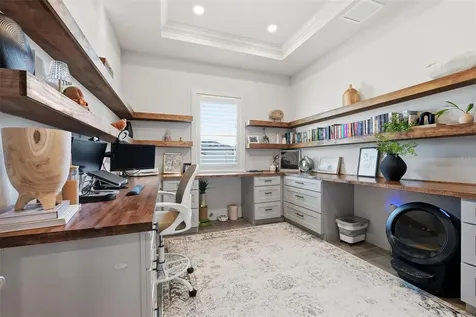 8684 Sanders Tree Loop Wesley Chapel FL 33545